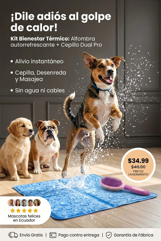 Alfombra autorefrigerante+ Cepillo Masaje/Desenreda