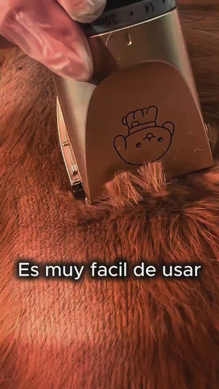Cargar video: 