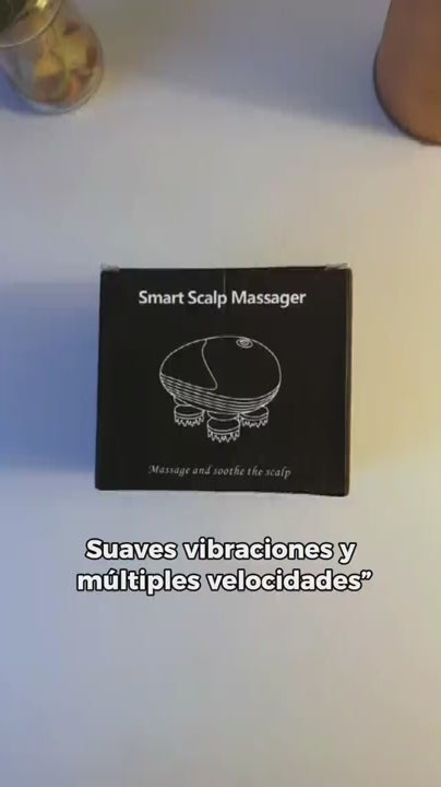Cargar video: 